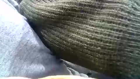 Snapshot of brilliant7 chatting on 12/31/24, 02:29 Josh online show from 12/31/24, 02:29