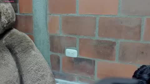 Briana69 online show from 03/06/25, 02:41