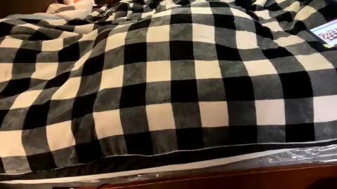 Snapshot of brownbootie1 chatting on 01/07/25, 04:05 brownbootie1 online show from 01/07/25, 04:05