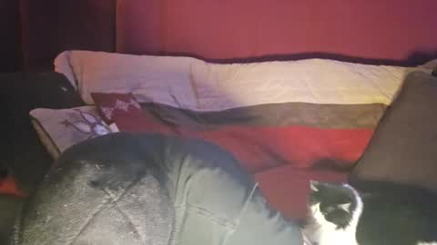 brownboyt online show from 12/19/25, 05:58