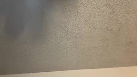 EtherealLilac online show from 02/11/25, 03:50