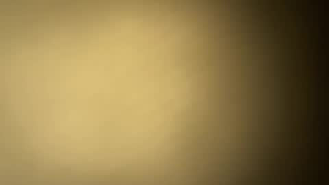 BRUCE online show from 01/30/25, 01:22