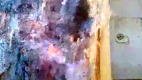 Snapshot of bruno0776 chatting on 03/04/25, 07:19 bruno0776 online show from 03/04/25, 07:19