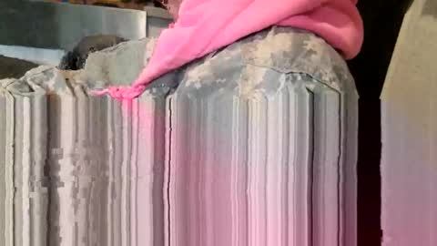 Snapshot of brushsquach chatting on 03/11/26, 08:59 Steve... aka SkinnieDippin aka TimberTramp online show from 03/11/26, 08:59