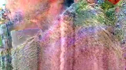 Snapshot of brushsquach chatting on 04/02/26, 04:59 Steve... aka SkinnieDippin aka TimberTramp online show from 04/02/26, 04:59