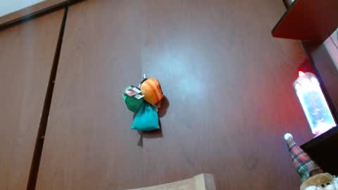 Enjoy the best muscle straws   online show from 02/11/25, 04:24