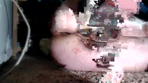 bubblebuttnnut online show from 06/11/26, 01:38