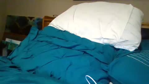 Bud42o online show from 12/11/24, 07:09