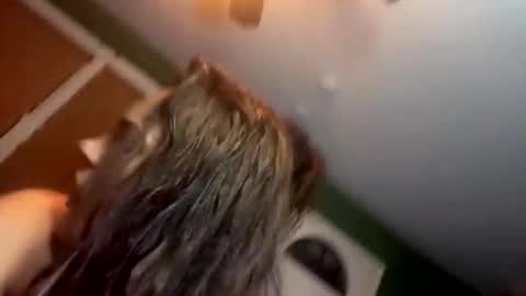 Yourtrippyhippy online show from 11/28/25, 12:57