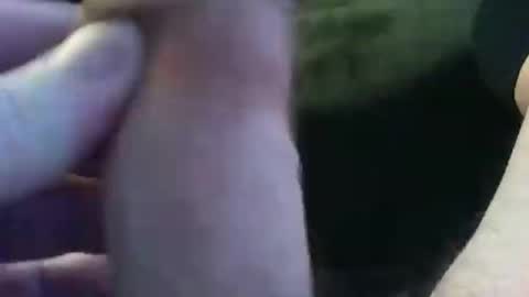 bullemoe online show from 01/09/25, 07:42