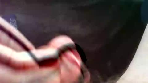 bullemoe online show from 09/16/25, 02:51