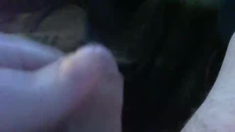 bullemoe online show from 09/30/25, 05:23