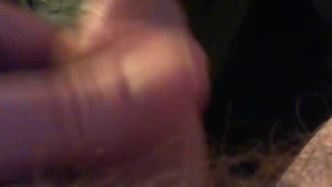 bullemoe online show from 12/15/25, 09:52