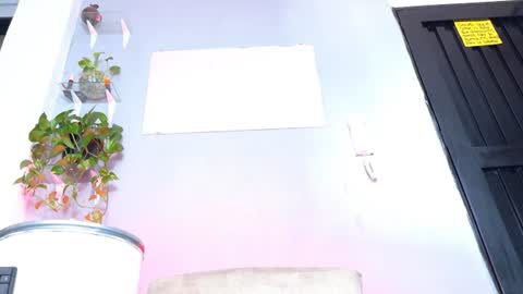     online show from 06/19/26, 07:06