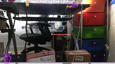 Tokki  bunny  online show from 12/09/24, 03:50