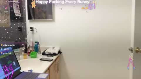 Tokki  bunny  online show from 12/29/24, 11:08