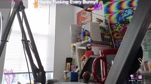 Tokki  bunny  online show from 01/16/25, 07:20