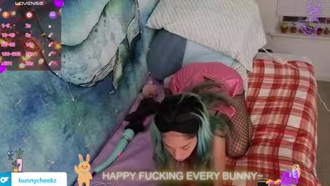 Tokki  bunny  online show from 11/19/25, 08:14