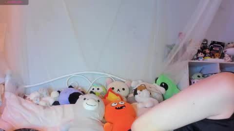 Snapshot of bunnyislewd chatting on 01/30/25, 03:22 bunnyislewd online show from 01/30/25, 03:22