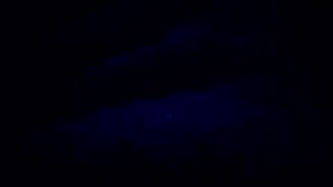 Burgola online show from 08/02/26, 11:52