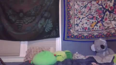 lilly online show from 02/02/25, 10:46