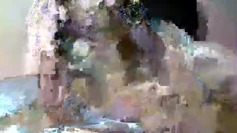 butler_yung online show from 05/12/26, 09:12