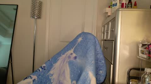 butterfly booty online show from 03/30/26, 12:50