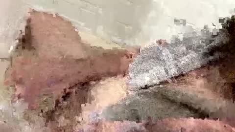 Snapshot of buzzed_gaming chatting on 02/17/25, 05:14 buzzed_gaming online show from 02/17/25, 05:14