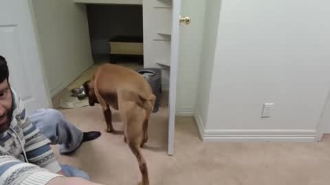 c2cmee online show from 12/26/24, 09:55