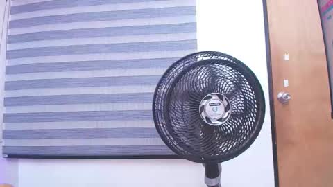 Carolina online show from 02/19/25, 03:06