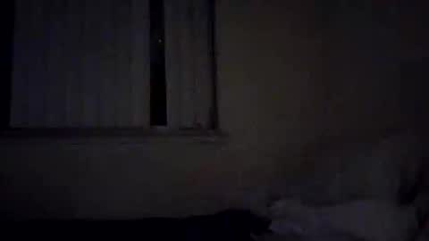 Snapshot of caga_palos chatting on 02/17/26, 04:31 caga_palos online show from 02/17/26, 04:31