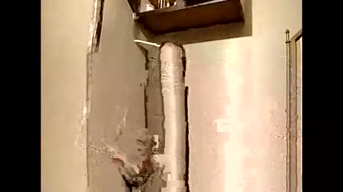 Southerncock online show from 01/05/25, 12:31