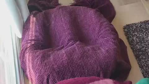 Caked Up online show from 03/24/26, 12:26