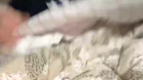 Marco online show from 12/09/24, 08:54