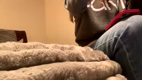 calishop1 online show from 12/11/24, 01:58