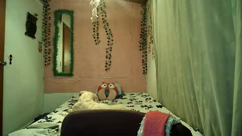 paula online show from 02/06/26, 11:52