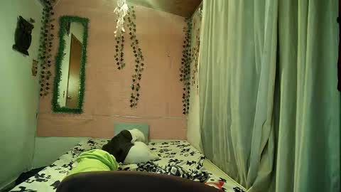 paula online show from 02/12/26, 02:28