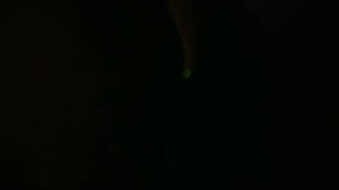 Charly online show from 07/10/26, 12:19
