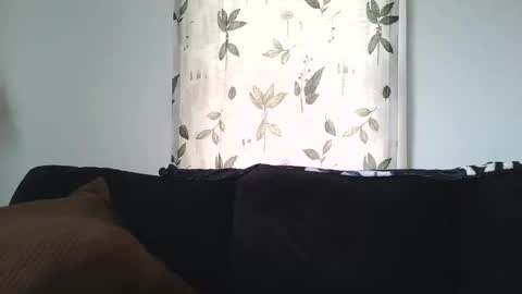 Snapshot of camaro383ci1994 chatting on 01/21/25, 06:45 Chillaxin lets talk online show from 01/21/25, 06:45