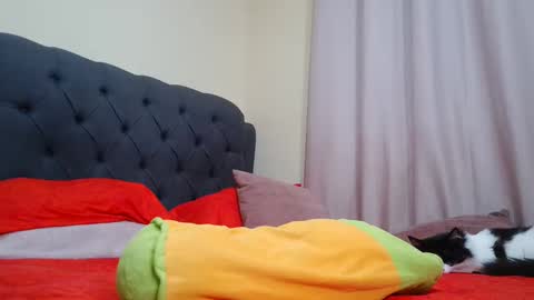 Camila Browm online show from 02/09/25, 09:26