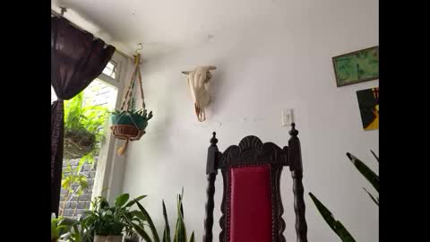 Snapshot of camille_delrey chatting on 11/08/25, 02:39 Camille online show from 11/08/25, 02:39