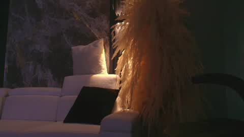 Snapshot of camiloalvarezzz3 chatting on 06/13/26, 11:41 CAMILO online show from 06/13/26, 11:41