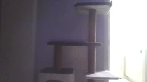 cammyman6900 online show from 11/09/25, 04:55