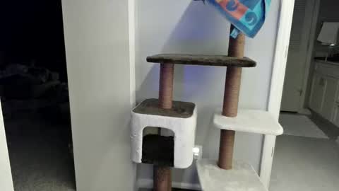 cammyman6900 online show from 03/21/26, 04:17