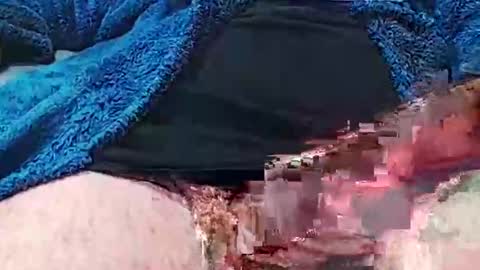 camone554cum online show from 10/04/25, 04:49