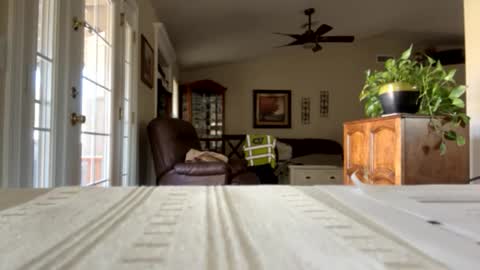 james online show from 01/30/25, 09:25