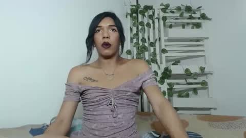 candy_hot_trans online show from 04/08/26, 02:17