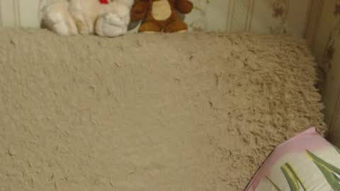 say meow and send tip  online show from 12/13/24, 05:21