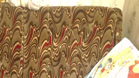 say meow and send tip  online show from 03/02/25, 01:05