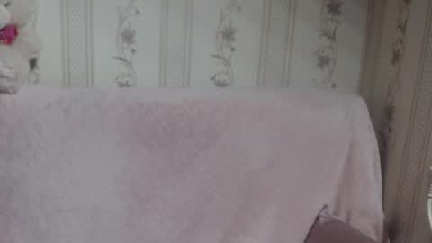 say meow and send tip  online show from 02/08/26, 09:18